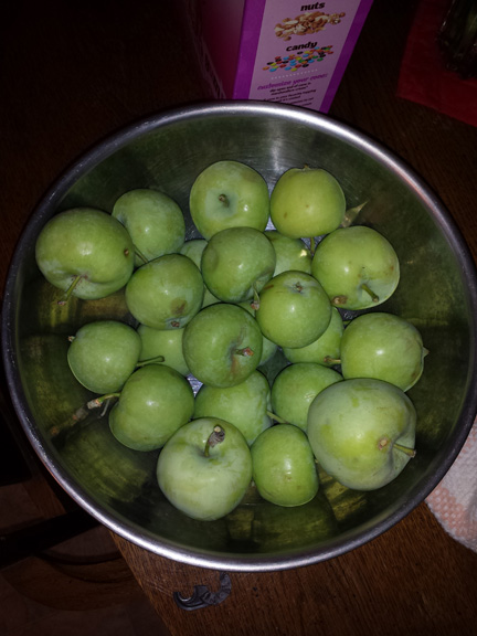 sweet green apples from our backyard tree.